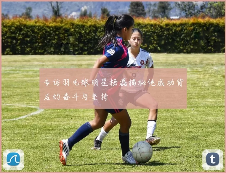 专访羽毛球明星杨磊揭秘他成功背后的奋斗与坚持