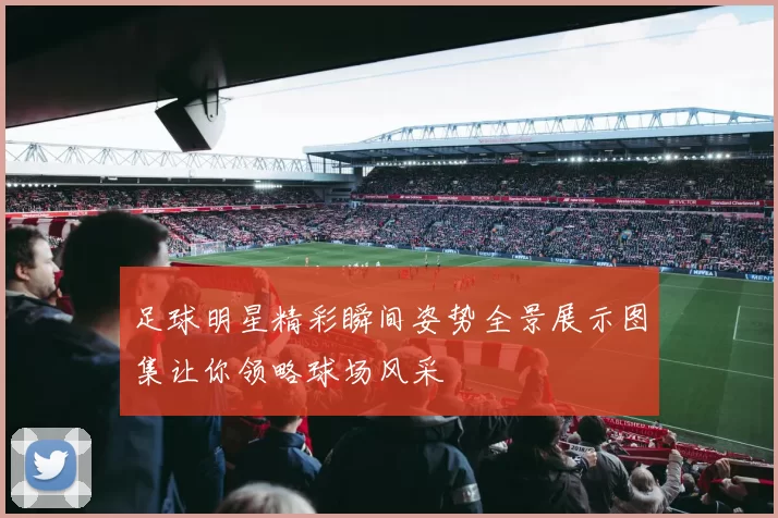 足球明星精彩瞬间姿势全景展示图集让你领略球场风采