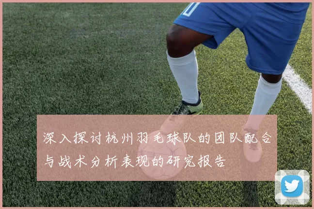 深入探讨杭州羽毛球队的团队配合与战术分析表现的研究报告