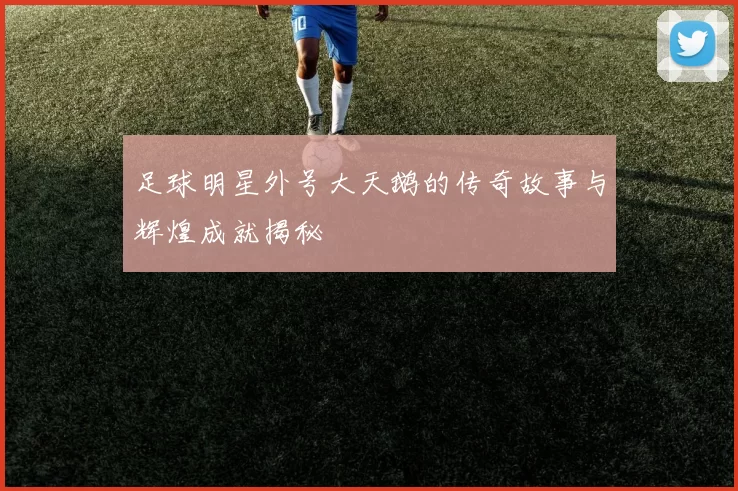 足球明星外号大天鹅的传奇故事与辉煌成就揭秘