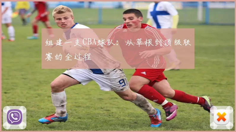 组建一支CBA球队：从草根到顶级联赛的全过程