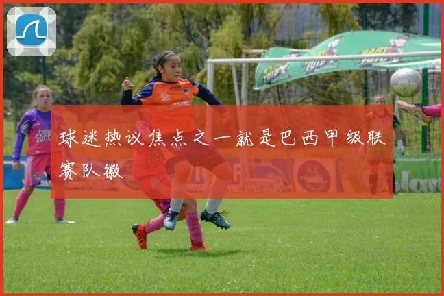 球迷热议焦点之一就是巴西甲级联赛队徽