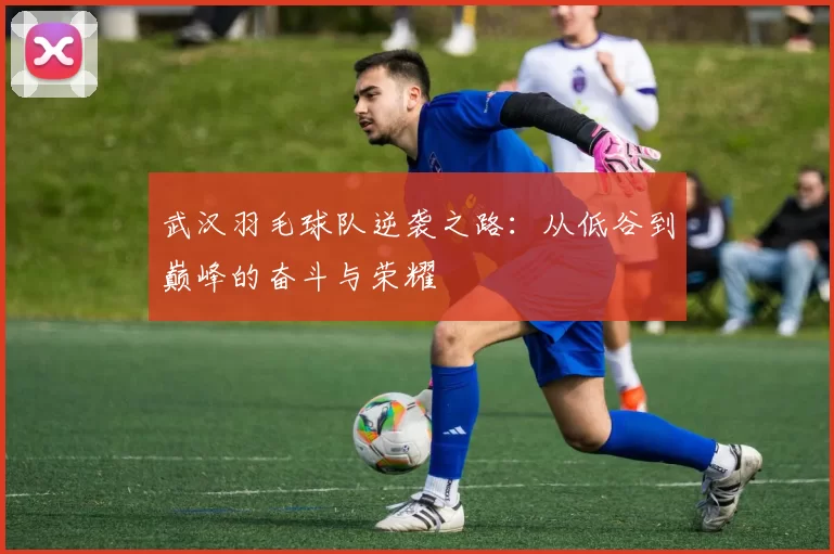武汉羽毛球队逆袭之路：从低谷到巅峰的奋斗与荣耀