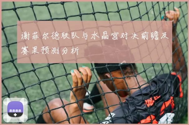 谢菲尔德联队与水晶宫对决前瞻及赛果预测分析