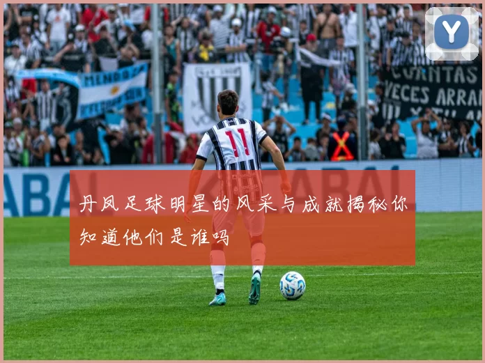 丹凤足球明星的风采与成就揭秘你知道他们是谁吗