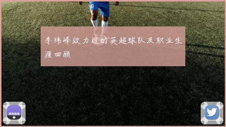 李玮峰效力过的英超球队及职业生涯回顾