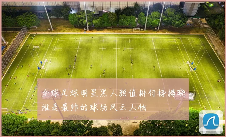 全球足球明星黑人颜值排行榜揭晓谁是最帅的球场风云人物