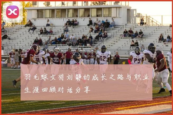 羽毛球女将刘静的成长之路与职业生涯回顾对话分享