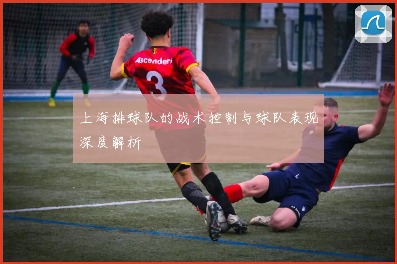 上海排球队的战术控制与球队表现深度解析