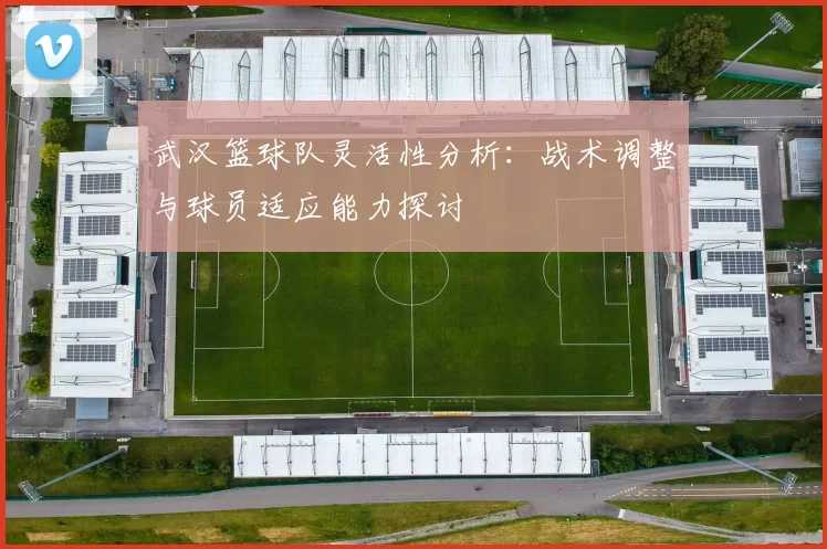 武汉篮球队灵活性分析：战术调整与球员适应能力探讨
