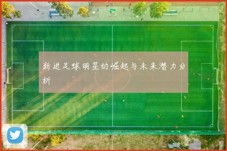 新进足球明星的崛起与未来潜力分析