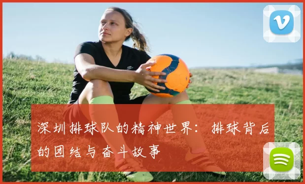 深圳排球队的精神世界：排球背后的团结与奋斗故事