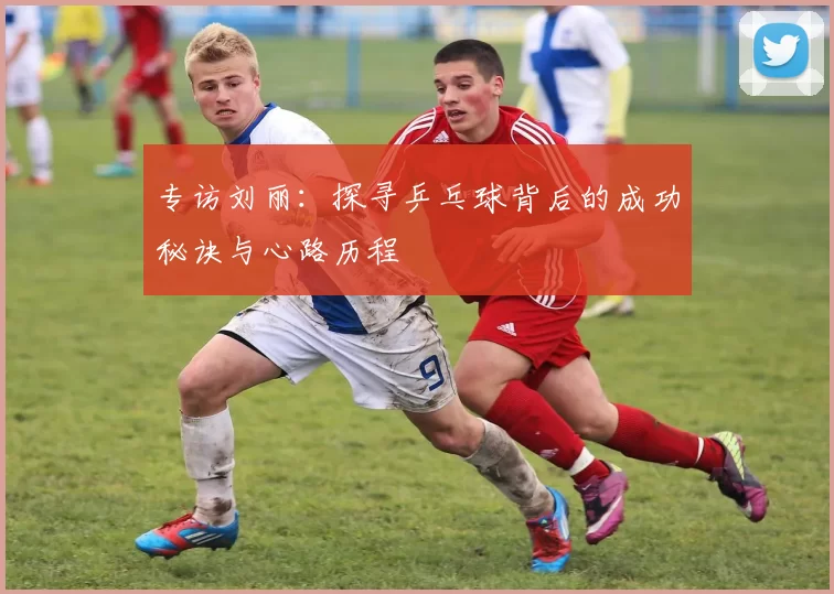 专访刘丽：探寻乒乓球背后的成功秘诀与心路历程