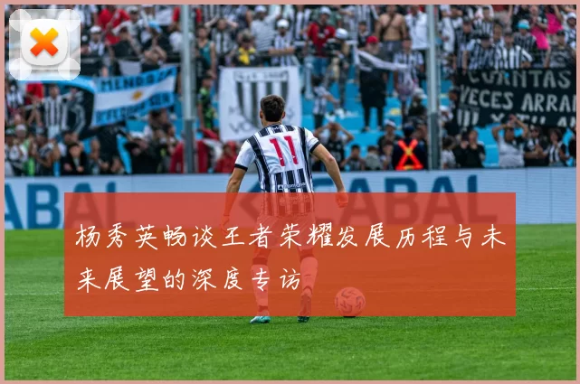 杨秀英畅谈王者荣耀发展历程与未来展望的深度专访