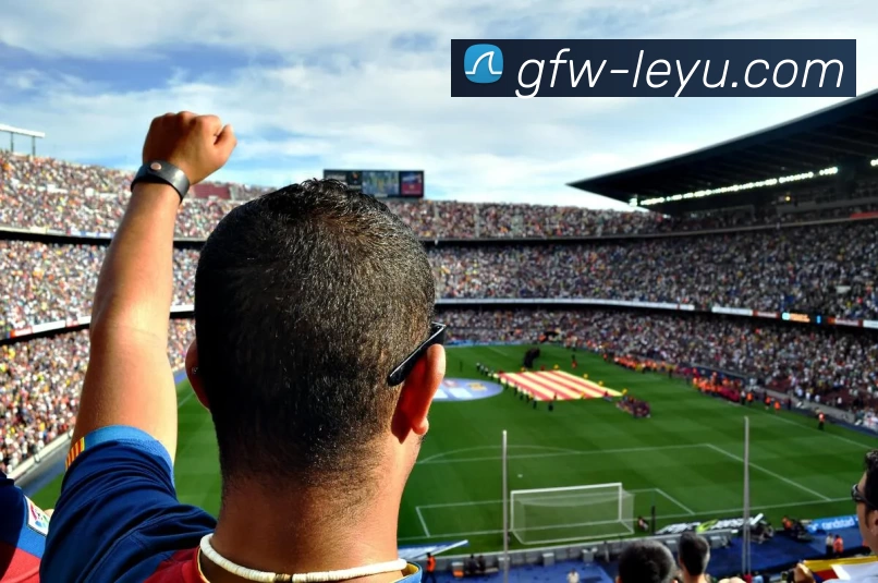 乐鱼体育APP 高清赛事图